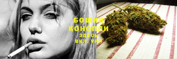 первитин Богородицк