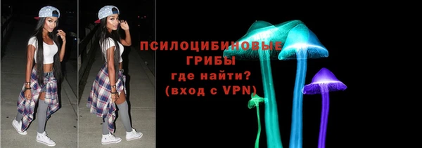 первитин Богородицк
