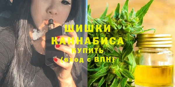 сатива Богородск