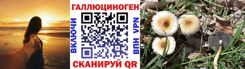 купить наркоту  Коркино  omg зеркало  Галлюциногенные грибы MAGIC MUSHROOMS 